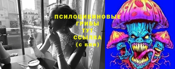 гашик Алексин