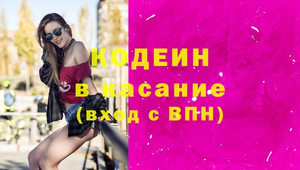 гашик Алексин