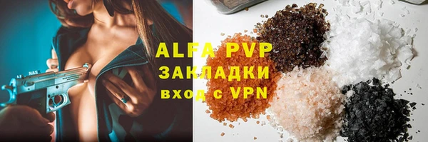 гашик Алексин